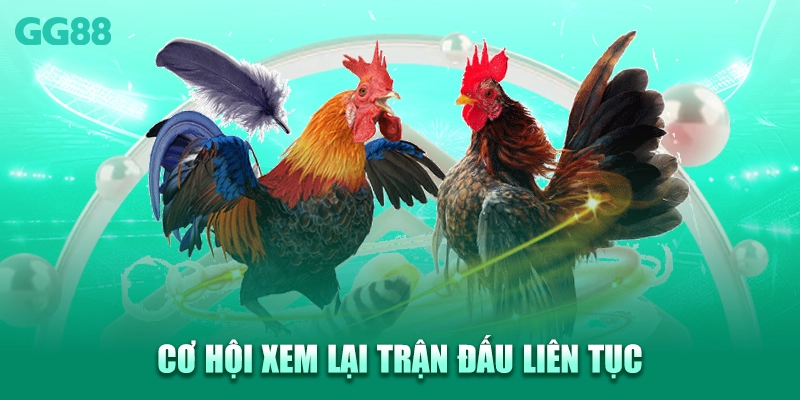 Cơ hội xem lại trận đấu liên tục