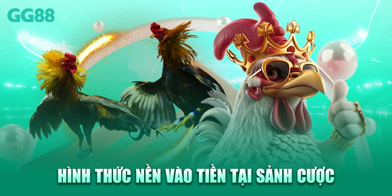 Hình thức nền vào tiền tại sảnh cược